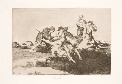 merhamet (27) by Francisco de Goya