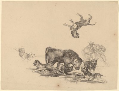 Köpeklerin Saldırdığı Boğa by Francisco de Goya
