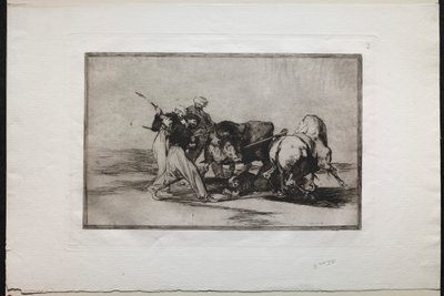 Boğa Güreşleri: İspanya