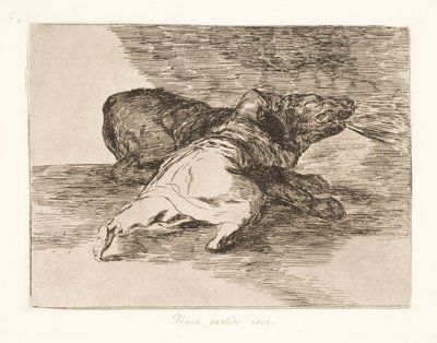 İçinden bir şey çıkar! (40) by Francisco de Goya