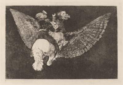 Farklı volante (Uçan Delilik) by Francisco de Goya