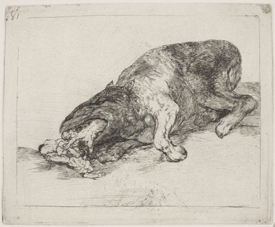 Vahşi bir canavar (81) by Francisco de Goya