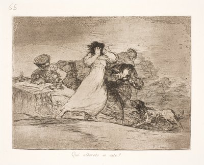 Bu karışıklık ne anlama geliyor? (65) by Francisco de Goya