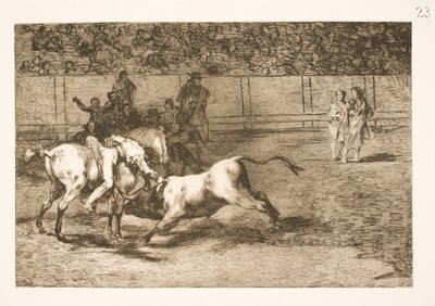 Hintli olarak da adlandırılan Maria Ceballas, boğayı atından öldürür by Francisco de Goya