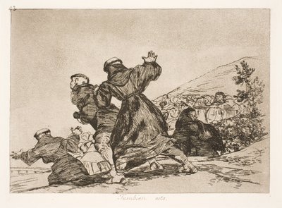 Ayrıca bu (43) by Francisco de Goya