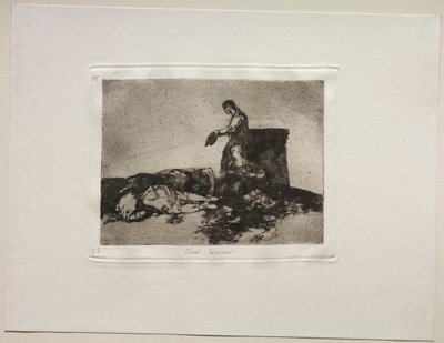 Savaşın Dehşetleri: Zalim Tale of Woe. by Francisco de Goya