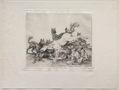 Savaşın Korkuları: Kendini İyi Savunuyor. by Francisco de Goya