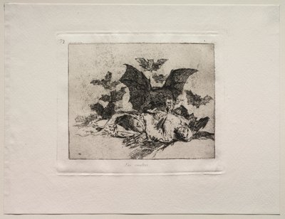 Savaşın Korkuları: Sonuçları. by Francisco de Goya