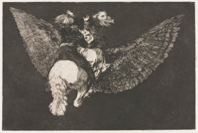 Atasözleri: Uçan Delilik by Francisco de Goya