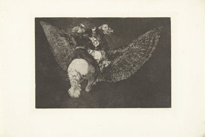 uçan çılgınlık farklı volante Los Disparates (Çılgınlıklar) (dizi adı) Los Proverbios (Atasözleri) (dizi başlığı) by Francisco de Goya