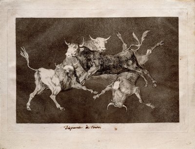 aptalın çılgınlığı by Francisco de Goya