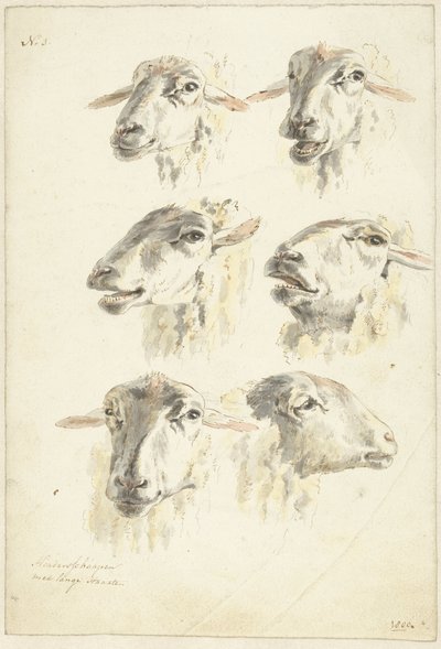 Altı koyun başlı çalışma sayfası by Franciscus Andreas Milatz (attributed to)