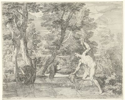 Nergis by Franciscus de Neve