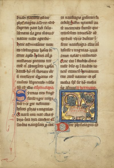 Bir bestiary