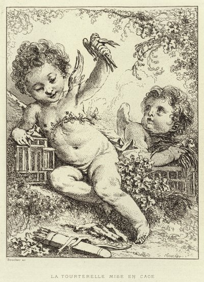 ಲಾ ಟೂರ್ಟೆರೆಲ್ ಕೇಜ್ಡ್ (ಕೆತ್ತನೆ) ಟರ್ಕ್ by Francois (after) Boucher