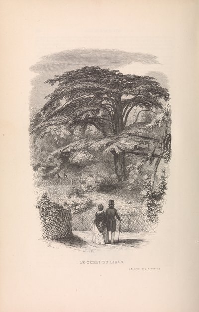 Botanik Bahçesi, Memelilerin Tanımları ve Davranışları, 1842. by Francois Boitard