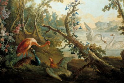 Kuğular ve tavus kuşları Boyama Francois Boucher (1703-1770) 18. yüzyıl Paris, Musee Carnavalet by François Boucher