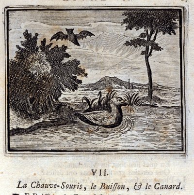 Yarasa, Çalı ve Ördek. Jean de La Fontaine'in (1621-95) Masalları. François Chauveau'nun çizimi (1613-1676). 1728 baskısı. by Francois Chauveau