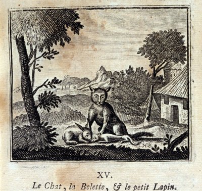 Kedi, Gelincik ve küçük tavşan. Jean de La Fontaine