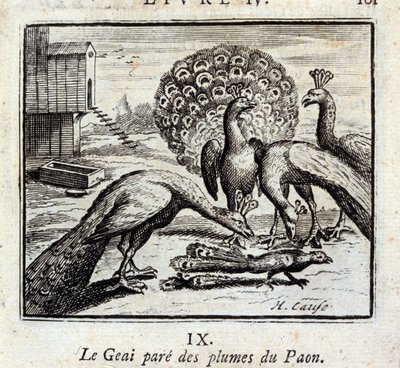Jay tavus kuşu tüylerini süslüyor. Jean de La Fontaine