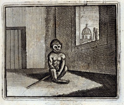 Maymun. Jean de La Fontaine