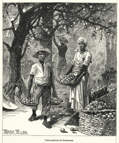 Madagaskar