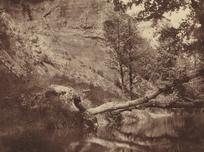 Nehir kenarı, c. 1855. by Frank Chauvassaigne
