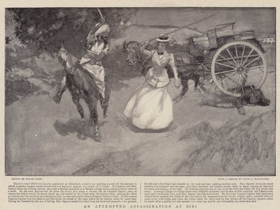 ಸಿಬಿ ಟರ್ಕಿಯಲ್ಲಿ ಹತ್ಯೆಗೆ ಯತ್ನ by Frank Craig