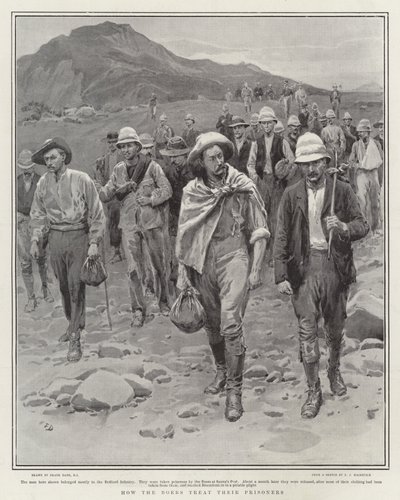 Böcekler, Deniz Canlıları ve Mouseturki Üzerine Bir Çalışma by Frank Dadd