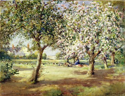 Çiçek Günleri by Frank Dean