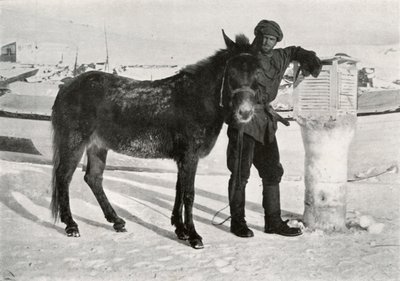Katır Lal Khan ile Gran, c1911, 1913 by Frank Debenham