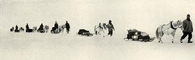 Mart 1911, 1913