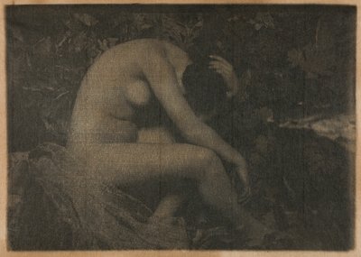 ağustosböceği by Frank Eugene