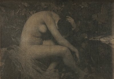 Ağustosböceği, 1898. by Frank Eugene