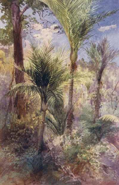  by Frank H Wright