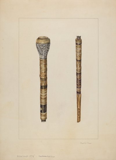 inek kamışı by Frank J. Mace