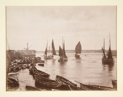 Whitby Limanı