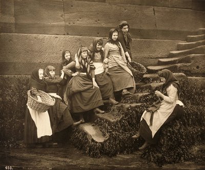 Yakalanacak günleri bekleyen kadınlar, Whitby Harbour, Kuzey Yorkshire, 1899 dolayları by Frank Meadow Sutcliffe