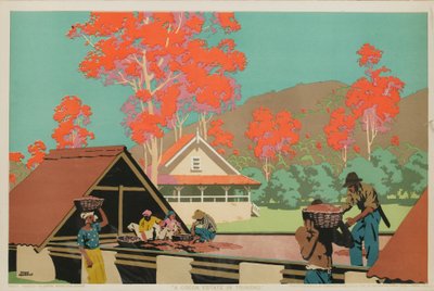 Trinidad'da Bir Kakao Malikanesi (renkli lito) by Frank Newbould