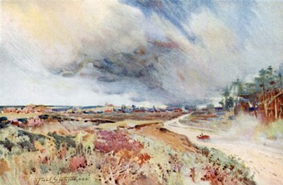 Sandringham yakınlarındaki Heath (renkli litografi) by Frank Southgate