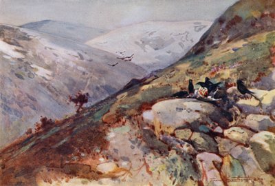 Kielder yakınlarında (renkli taş) by Frank Southgate