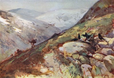 Kielder yakınlarında (renkli taş) by Frank Southgate