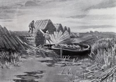 Norfolk Broads: Kamış İstifleme (lito) by Frank Southgate