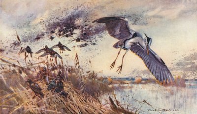  by Frank Southgate