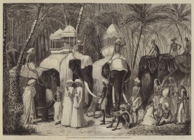 Travancore Rajahının Filleri by Frank Vizetelly