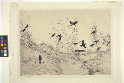 Blackbirds And Rushes (kağıt üzerine mürekkep) by Frank Weston Benson