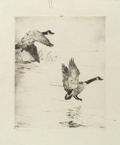 kazlar by Frank Weston Benson