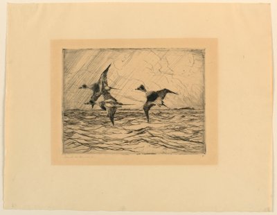 Eski Kargalar by Frank Weston Benson