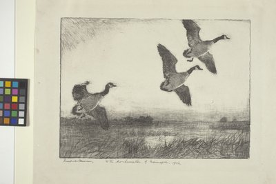 Üç Kaz (kağıt üzerine mürekkep) by Frank Weston Benson