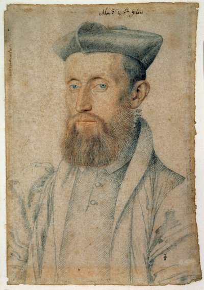 Mellin de Saint-Gelais
